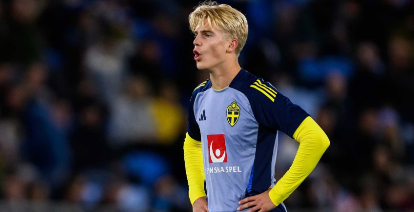 的氛围能起 的氛围能起