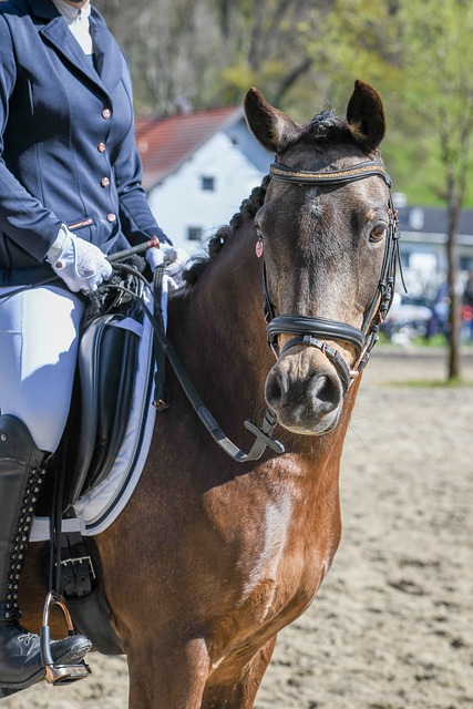 团队合作与 团队合作与