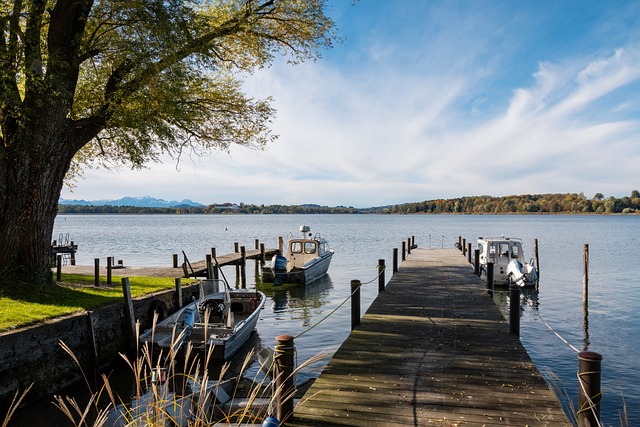 正赛名单中 正赛名单中