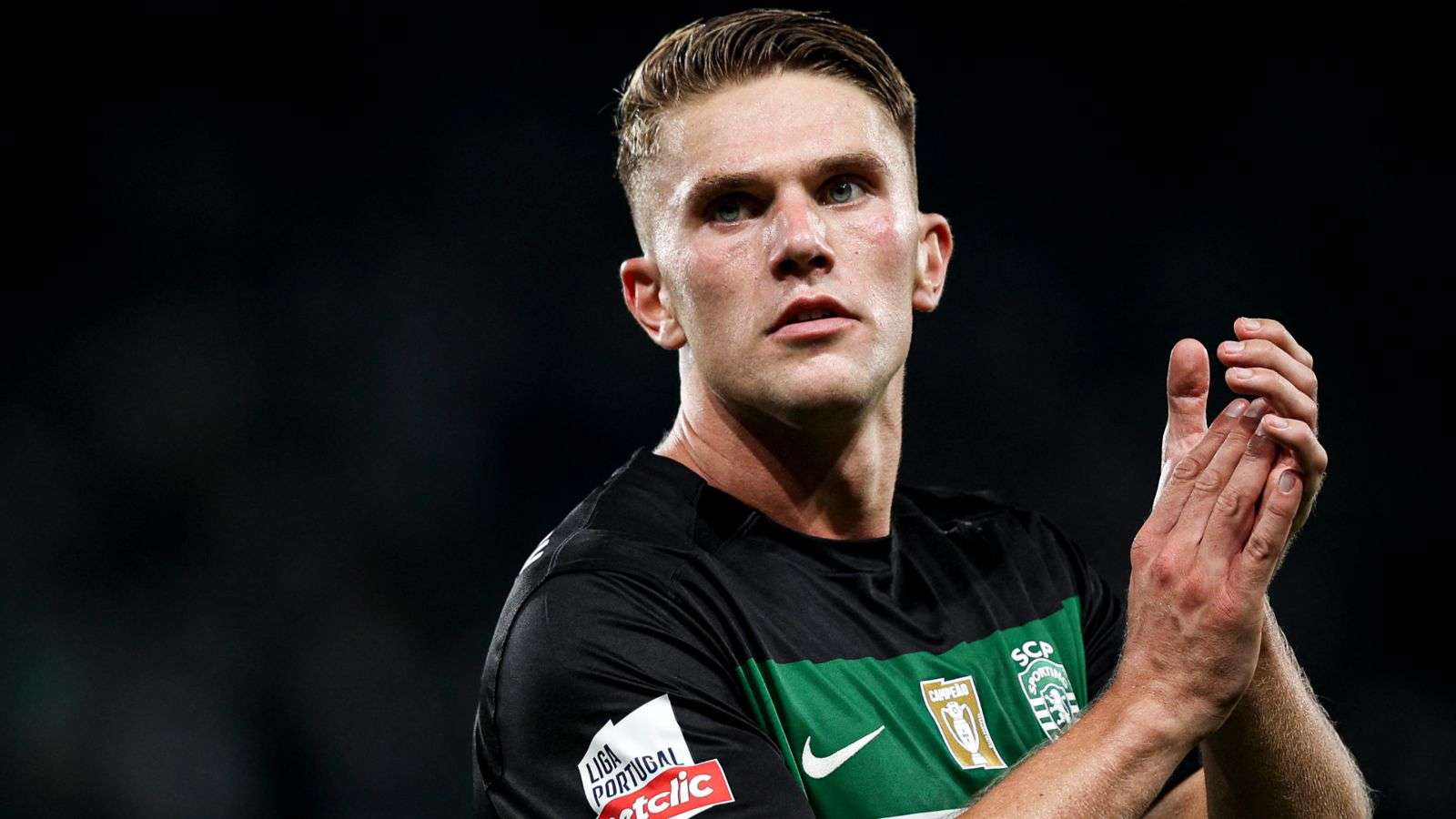 整体实力 整体实力