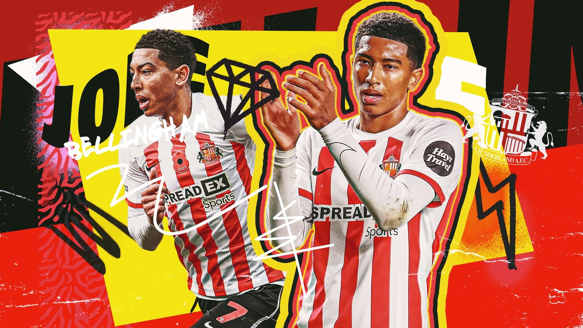 每一个因素 每一个因素