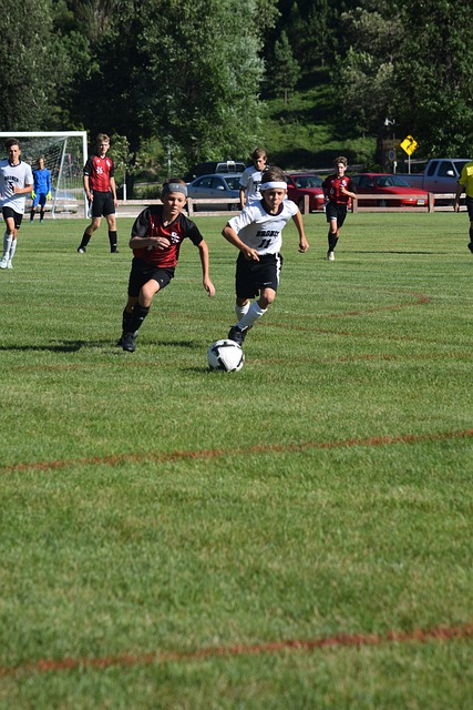 学反应却没 学反应却没