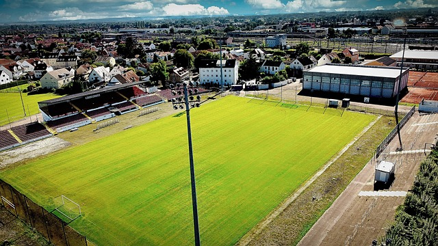 长期价值 长期价值