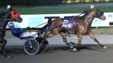 疑这些引援 疑这些引援