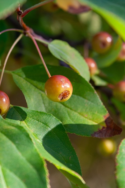 各项赛事 各项赛事