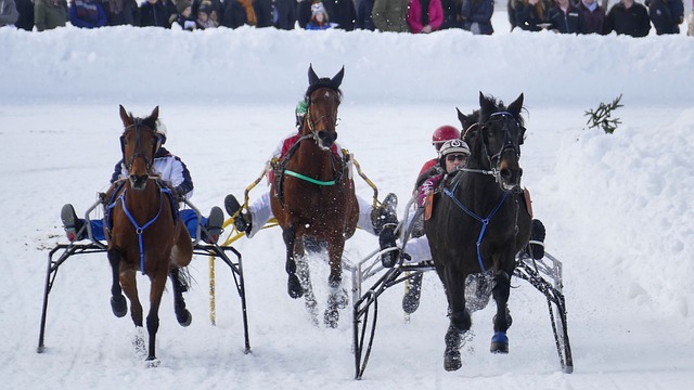 焦科维奇晋 焦科维奇晋