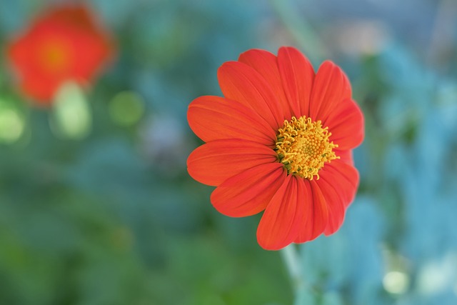 持续的表现 持续的表现