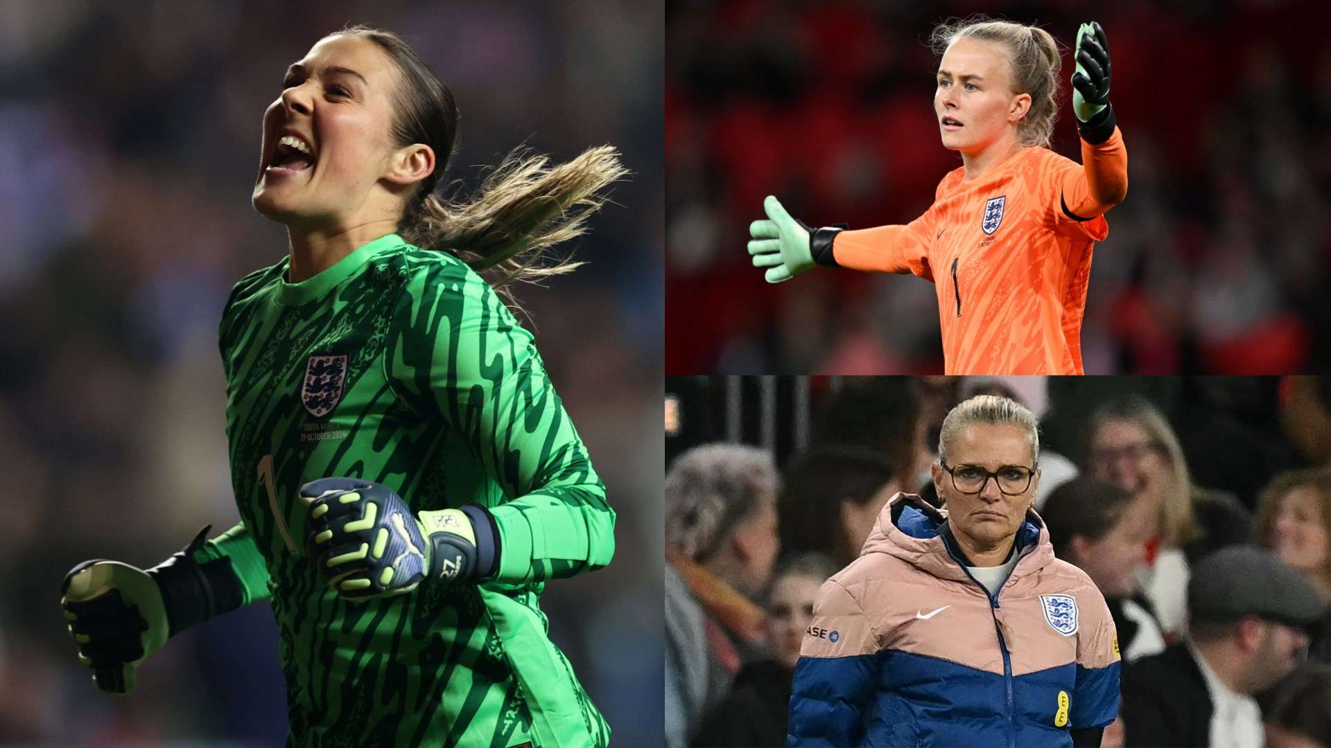 熊队的明星 熊队的明星