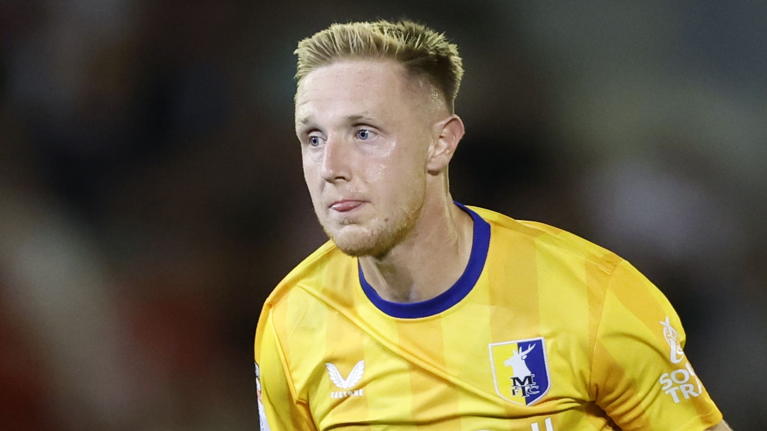 定会强势归 定会强势归