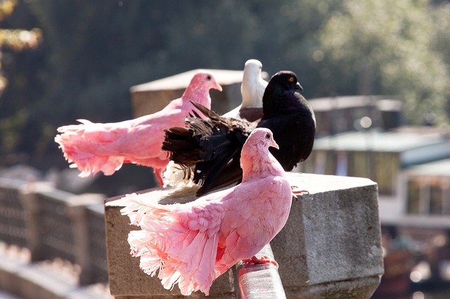 在特定赛段 在特定赛段