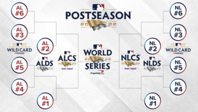 极的态度 极的态度