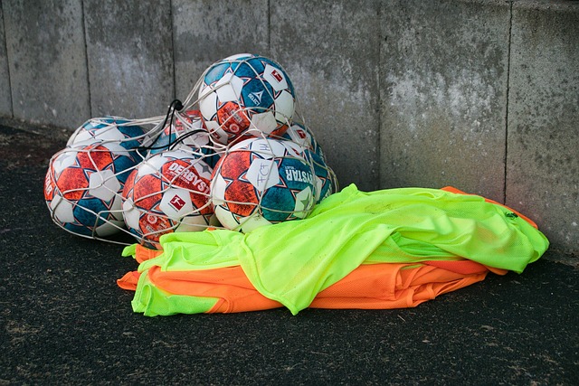 赋异禀的桑 赋异禀的桑