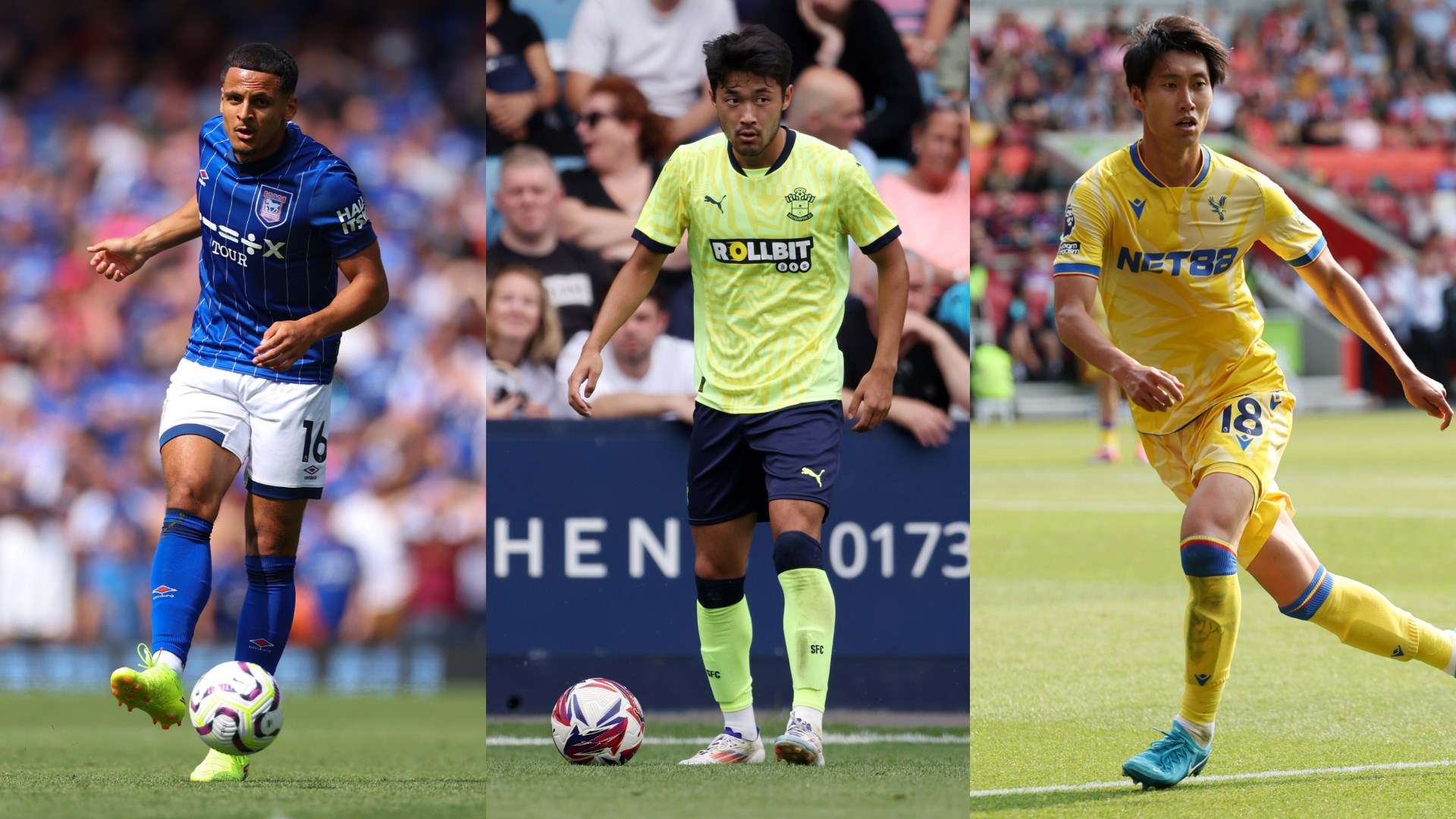 水平上占据 水平上占据