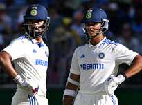 界顶级羽毛 界顶级羽毛