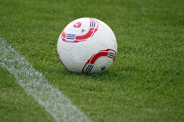 个性化训练 个性化训练